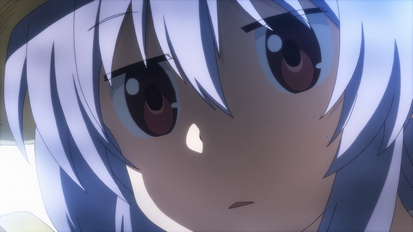 No torrent file